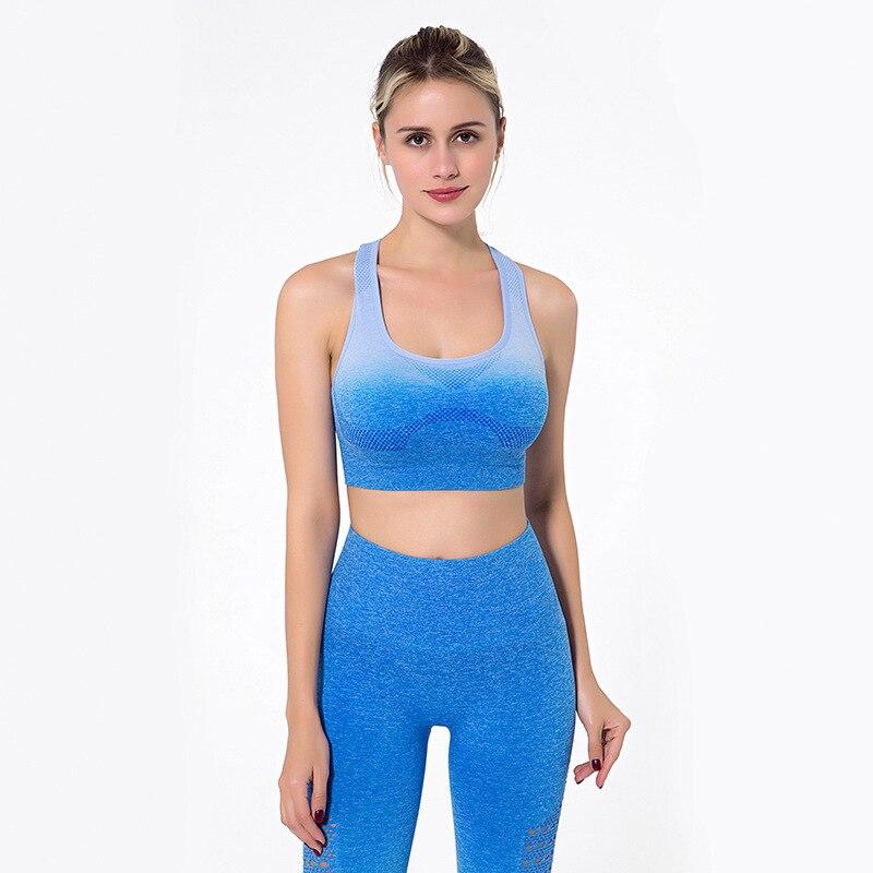 Astoria Seamless Ombre Sports Bra - Blue
