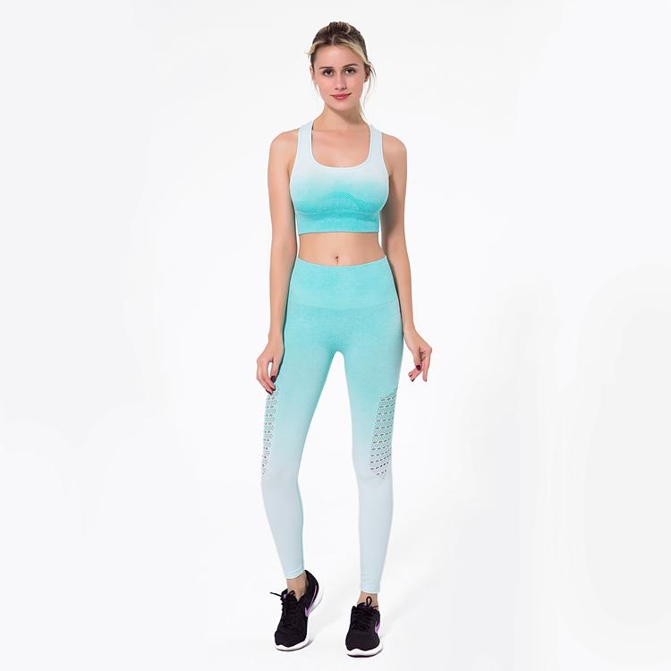 Astoria Seamless Ombre Sports Bra - Aqua
