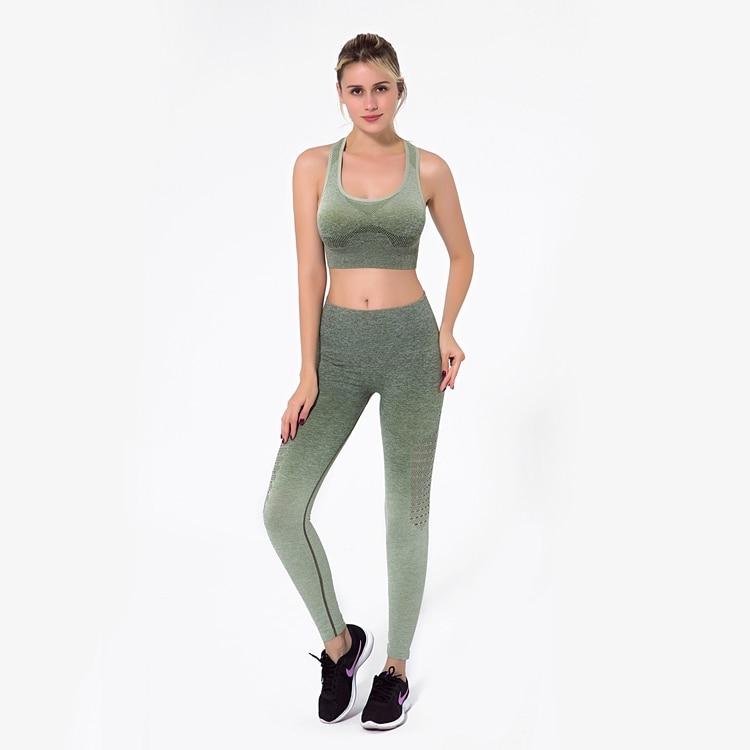 Astoria Seamless Ombre Sports Bra - Army Green