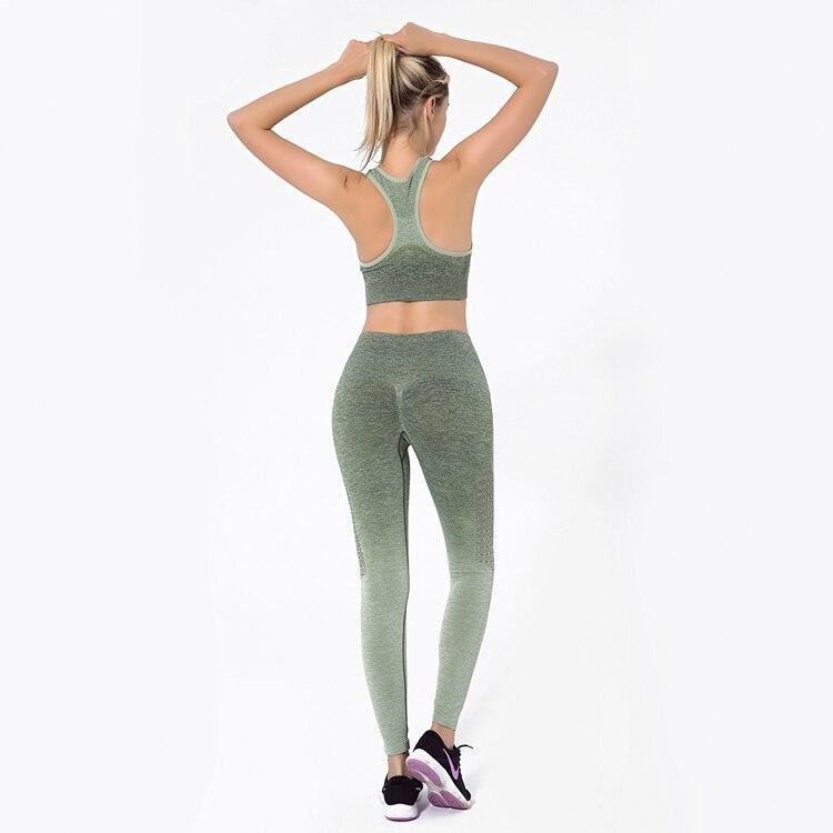 Astoria Seamless Ombre Sports Bra - Army Green