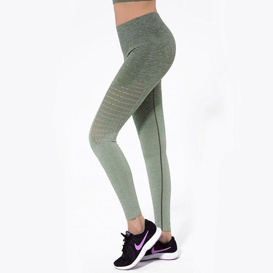 Astoria Seamless Ombre Legging - Army Green